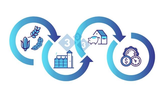 Figure 1: Direct relationship that the feed mill has with the farm, and its consequences on the efficiency and final profitability of the business.