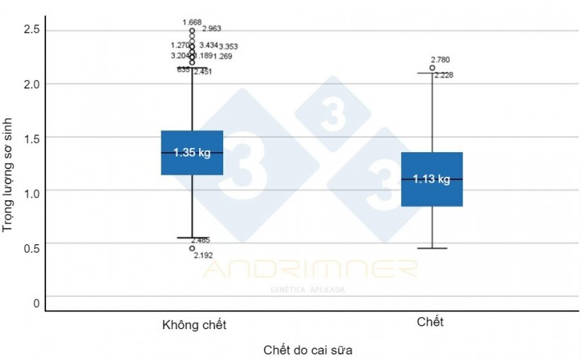 Biểu đồ 4. Trọng lượng sơ sinh trung b&igrave;nh của heo con c&ograve;n sống (&ldquo;kh&ocirc;ng chết&rdquo;) v&agrave; trọng lượng sơ sinh trung b&igrave;nh của heo con chết. Sự kh&aacute;c biệt rất c&oacute; &yacute; nghĩa giữa hai nh&oacute;m ( F=155,713; p&lt;0,001) Nguồn: Javier Lorente. Trại thương phẩm, 3483 heo con được c&acirc;n ri&ecirc;ng lẻ v&agrave;o năm 2021.
