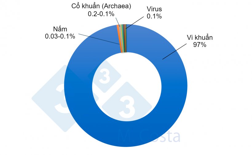 H&igrave;nh 1. Tỷ lệ tương đối ước t&iacute;nh của c&aacute;c vi sinh vật kh&aacute;c nhau trong microbiome đường ruột heo. Trong khi vi khuẩn tương ứng với phần lớn c&aacute;c vi sinh vật trong ruột heo, c&aacute;c vi sinh vật kh&aacute;c đ&oacute;ng một vai tr&ograve; quan trọng trong mạng lưới phức tạp đ&oacute; l&agrave; giao tiếp ch&eacute;o với microbiota đường ruột.
