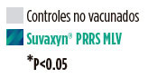 Controles no vacunados y Suvaxyn PRRS MLV