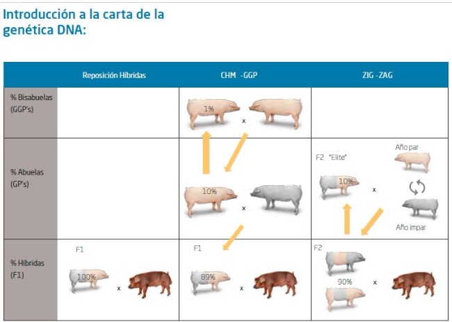 Sistemas de Reposición Sistemas de Reposición
