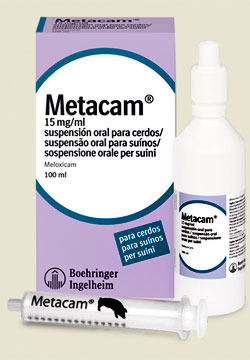 Metacam 15 mg/ml