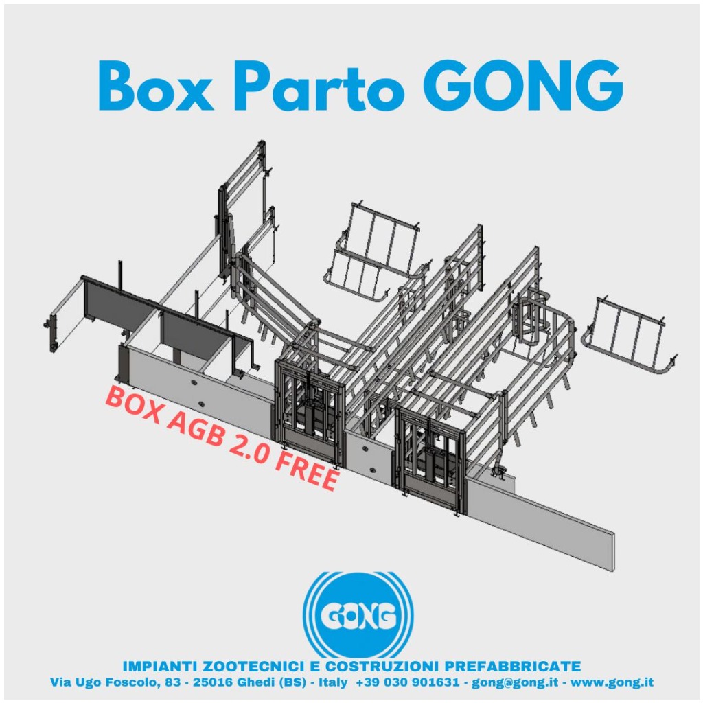 Box Parto AGB 2.0 FREE