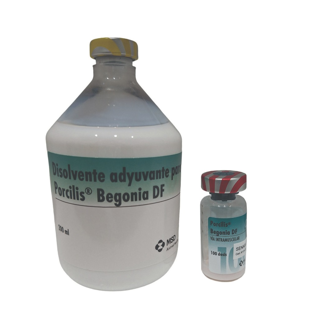 Porcilis® Begonia + Diluvac® Forte de MSD Salud Animal Argentina