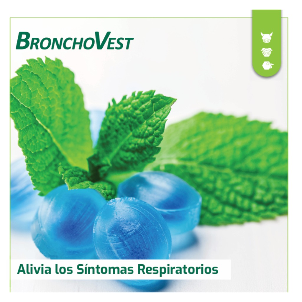  BronchoVest