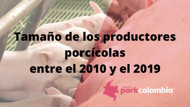 Tamaño De Los Productores Porcícolas Entre El 2010 Y 2019 ...